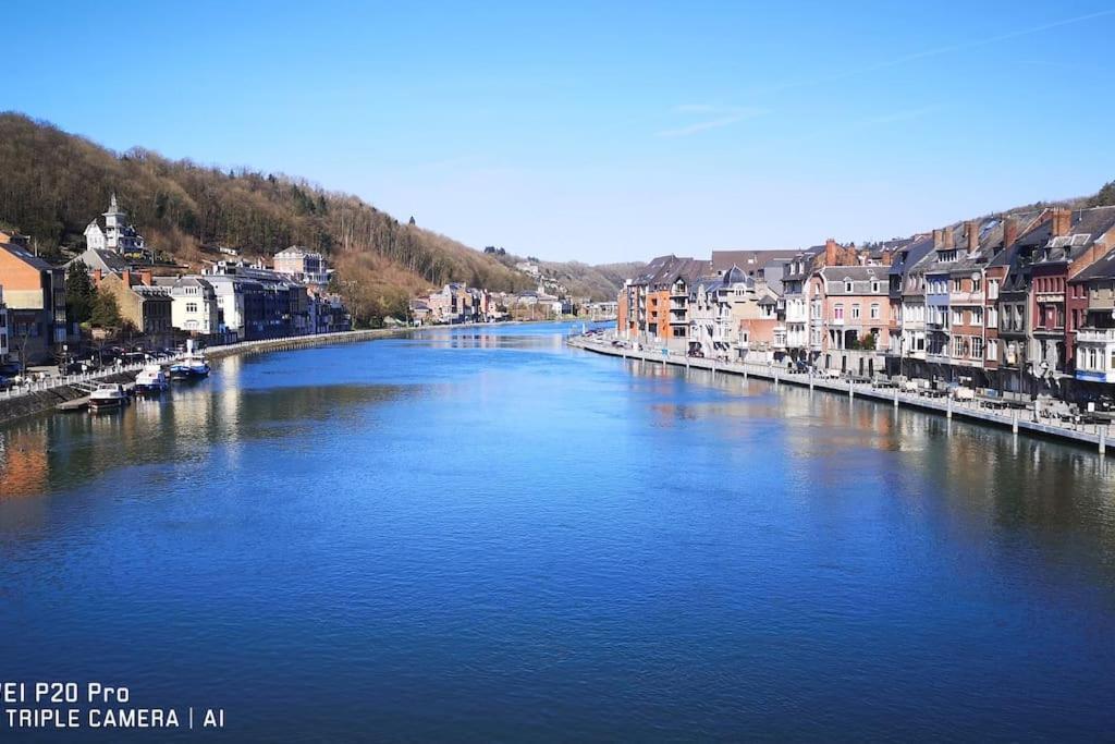 Vue Sur Meuse Avec Jacuzzi Et Sauna Exterieur. Yvoir Exterior photo